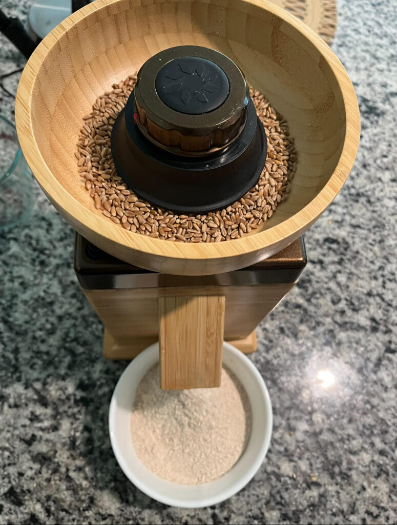 Flour Mill milling wheat berries