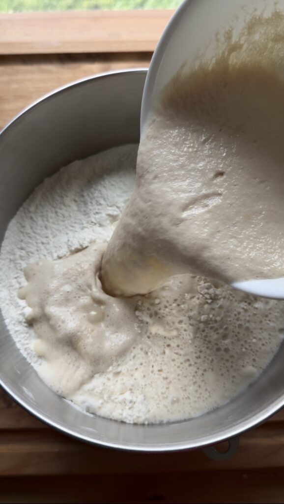 adding activated yeast into flour in kitchen aid mixing stainless steel bowl