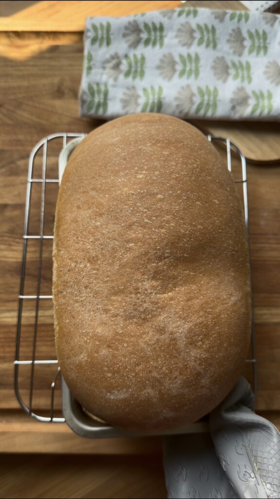 freshly baked easy homemade sandwich bread